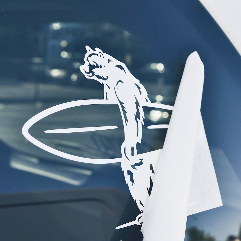 White Transfer Sticker of a bear holding a surfboard placed on a car window